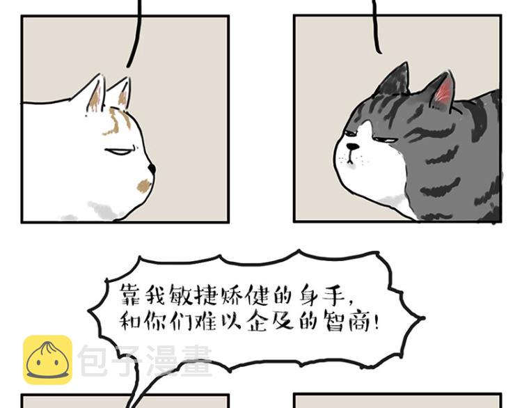 第291话 好兄弟，一辈子7