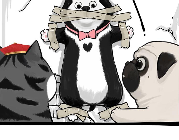 第288话 冒牌货，拿来吧你！45