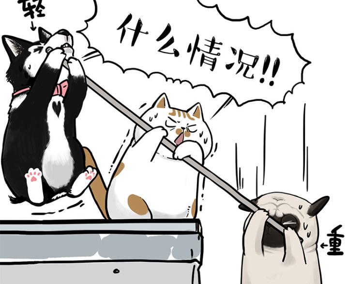 第294话 教狗游泳难度爆棚53