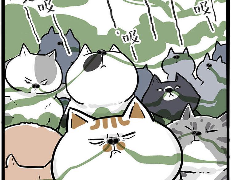 第239话 “屁”的战争61