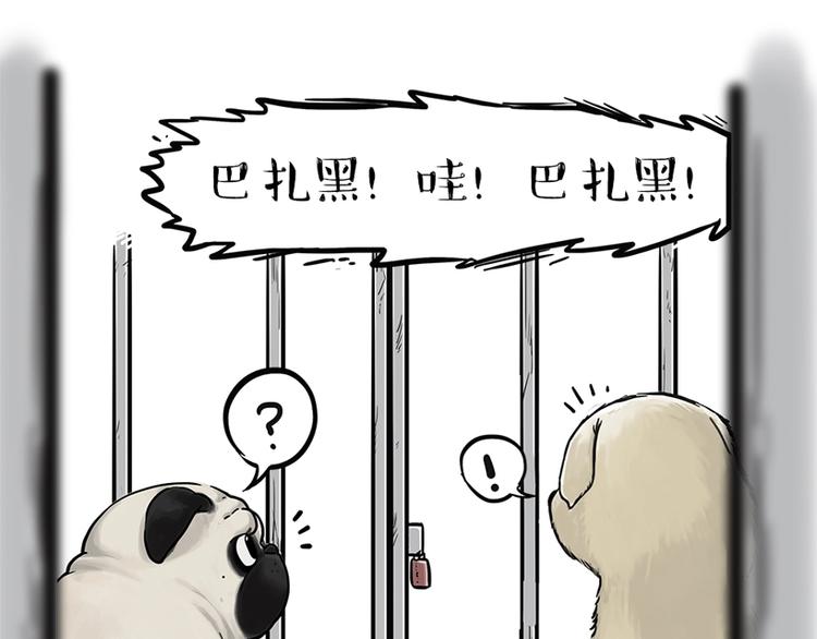 第198话 你爱世界，但我爱你17