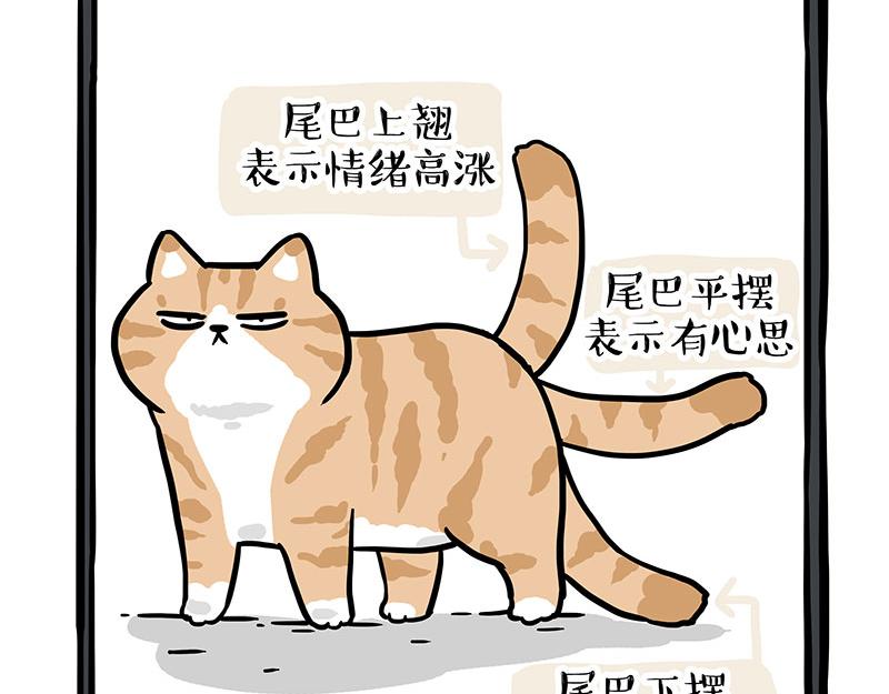 第340话 自我攻略10