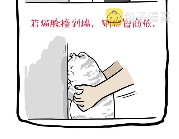 第294话 教狗游泳难度爆棚26