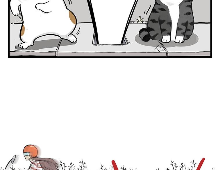 第248话 童话是真的9