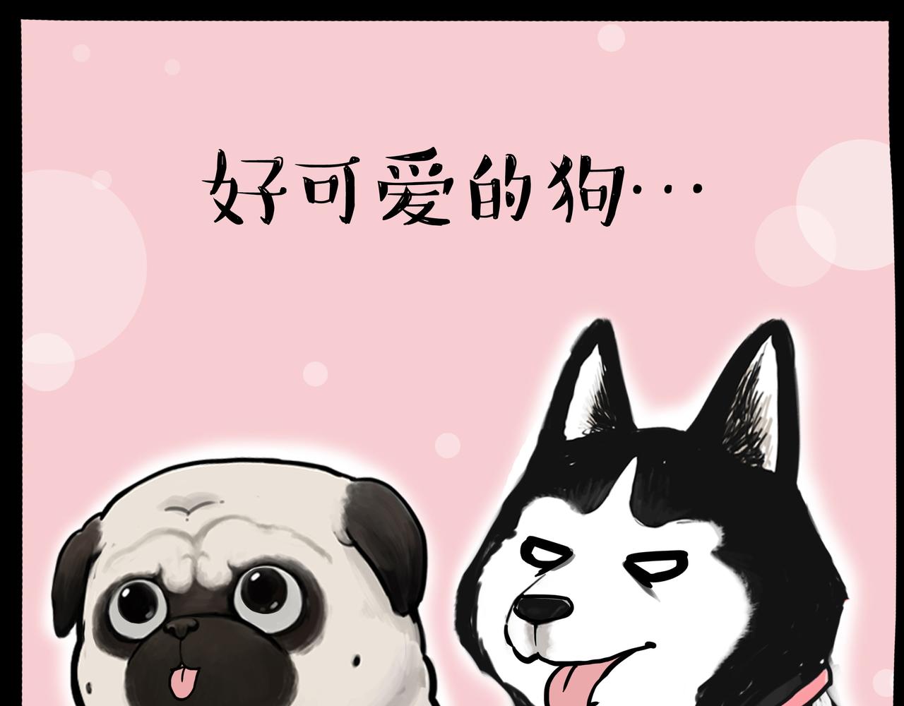 第333话 养啥好？27