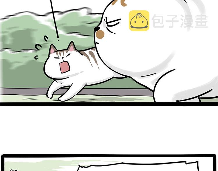 第271话 进击的流浪猫！36
