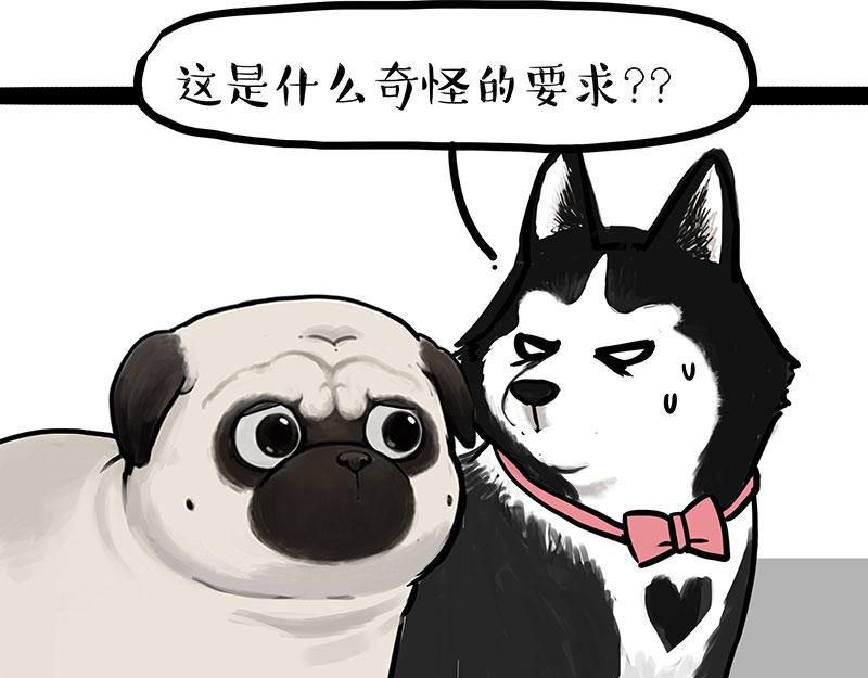第299话 真假虚实64
