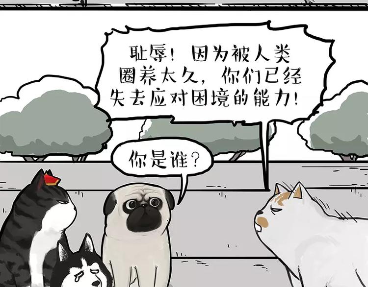 第105话 劲往一处使17