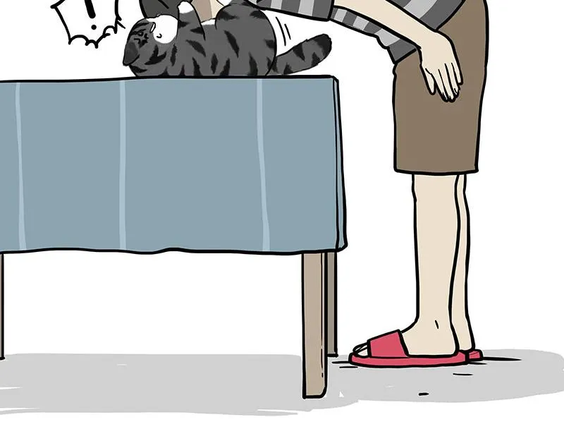 第391话 开心就好15