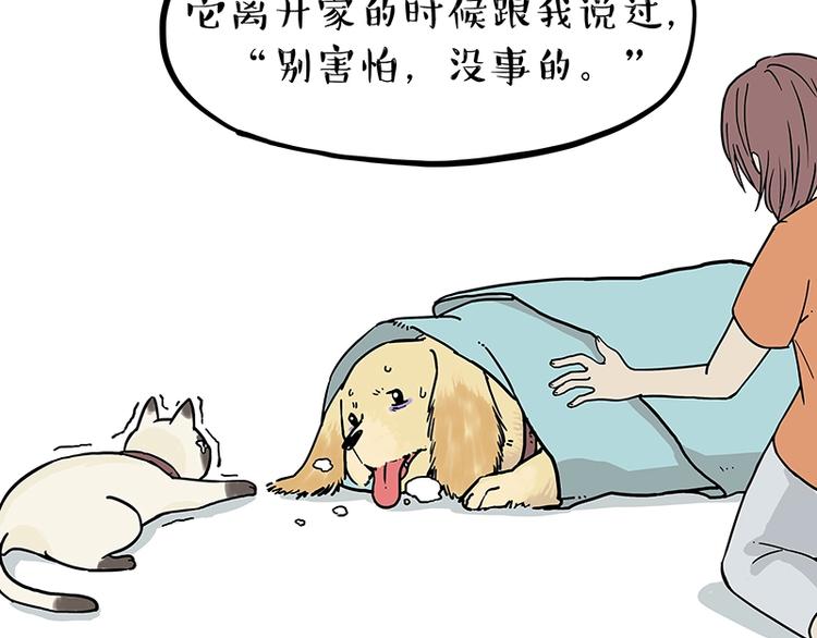 第171话 不许你走！77