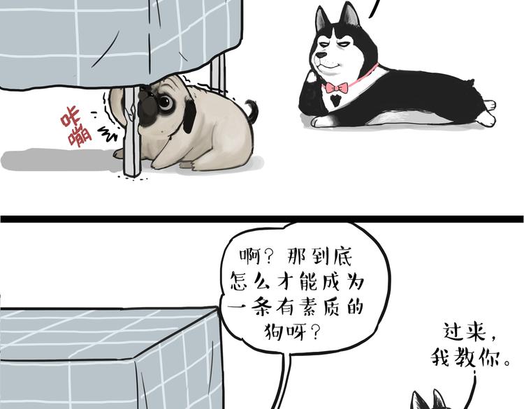 第110话 谁说了算51