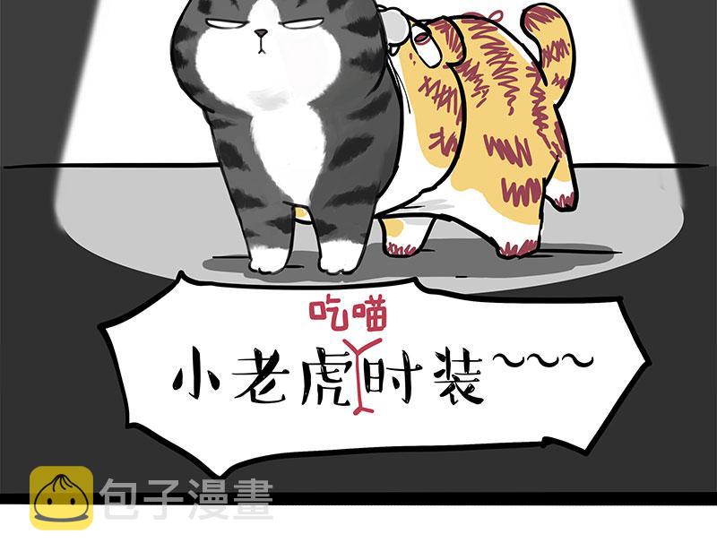 第296话 披着虎皮的猫8