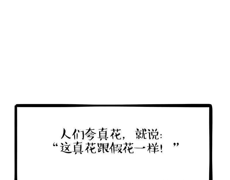 第343话 喵生哲学28