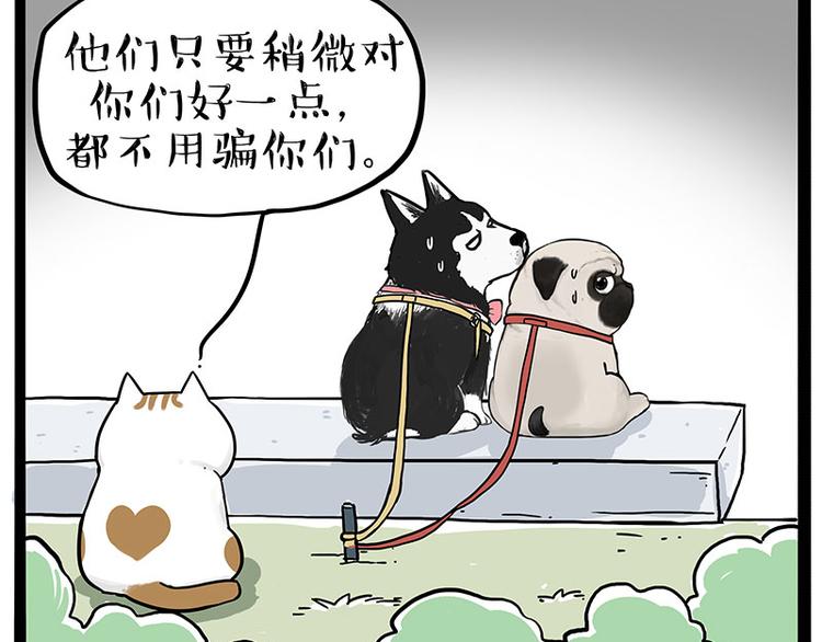第223话 狗知识增加了8