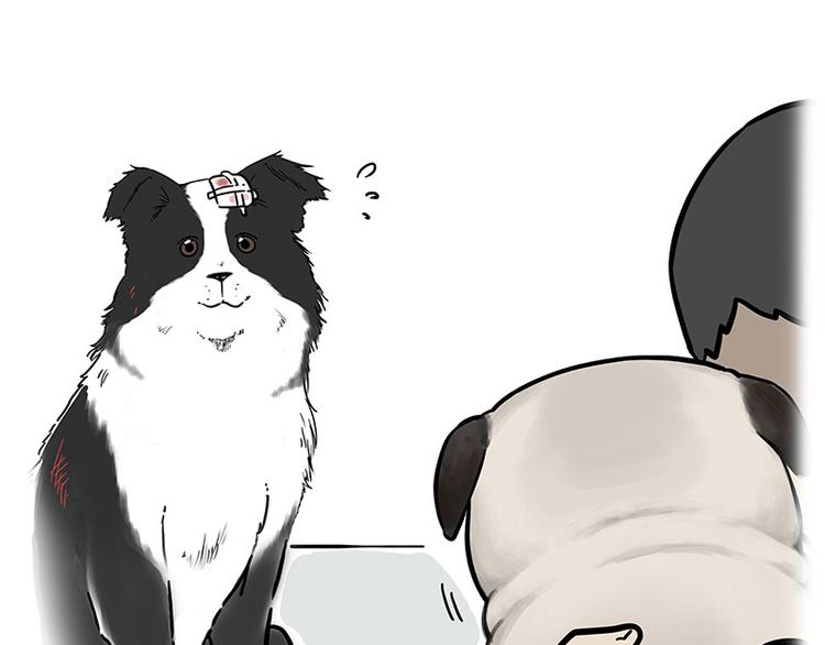第207话 巴扎黑丢了？！68