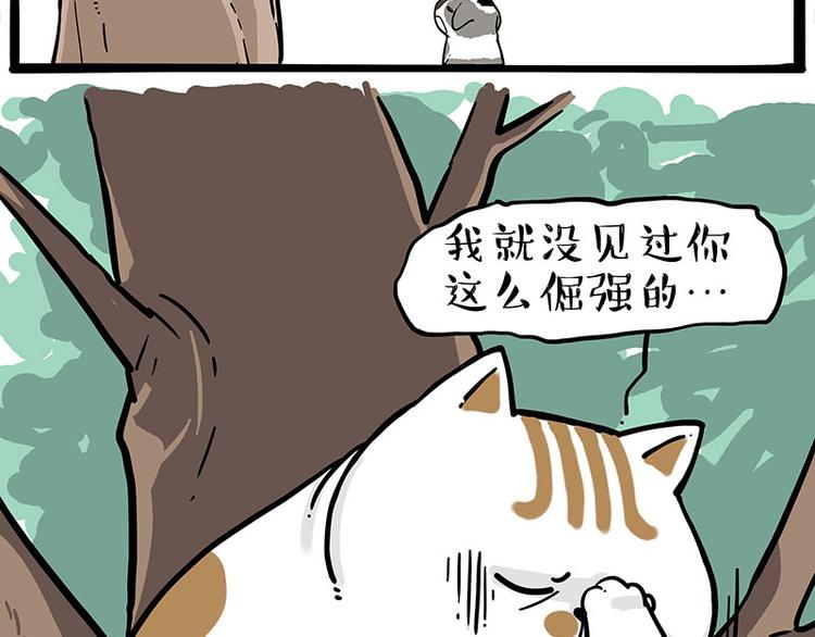第271话 进击的流浪猫！4