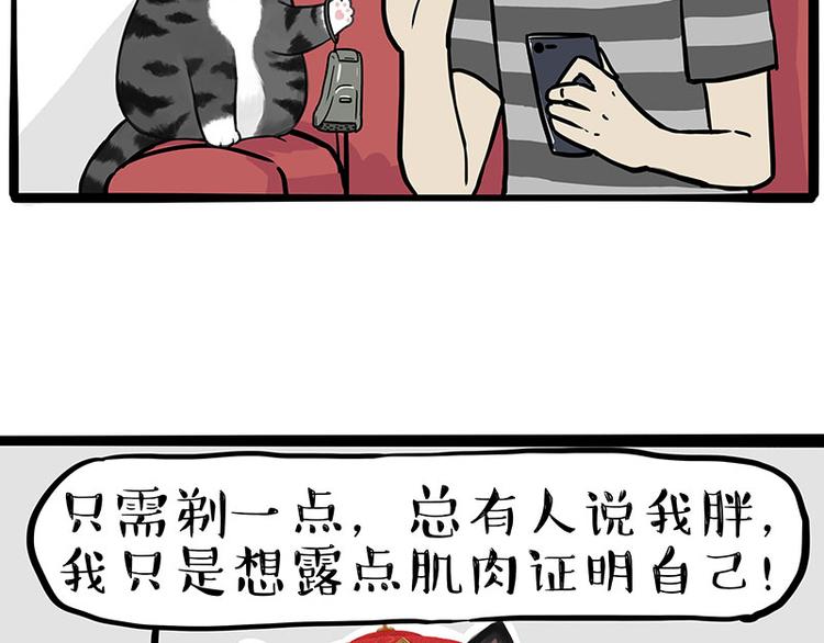 第282话 型男（猫）33