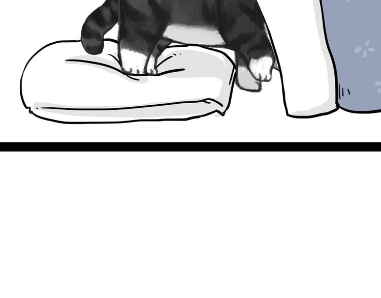 第44话 日常坑狗，却猫前屈膝9