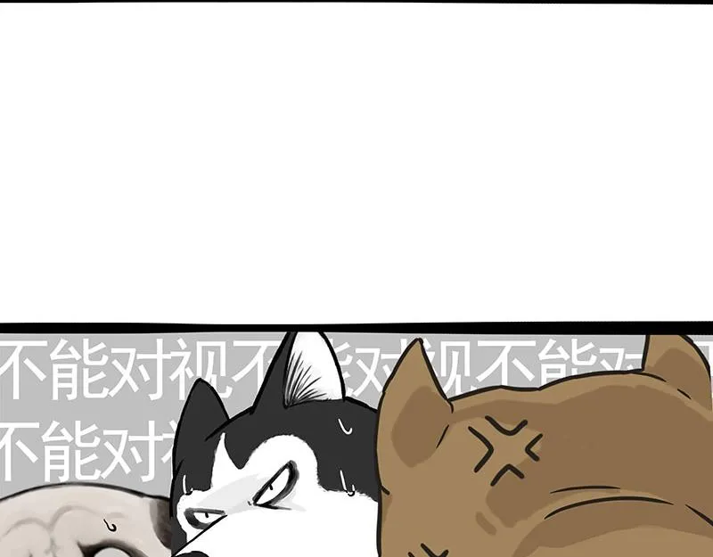 第375话 偶遇恶犬5