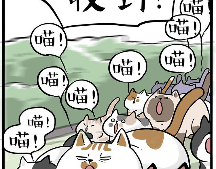 第271话 进击的流浪猫！55