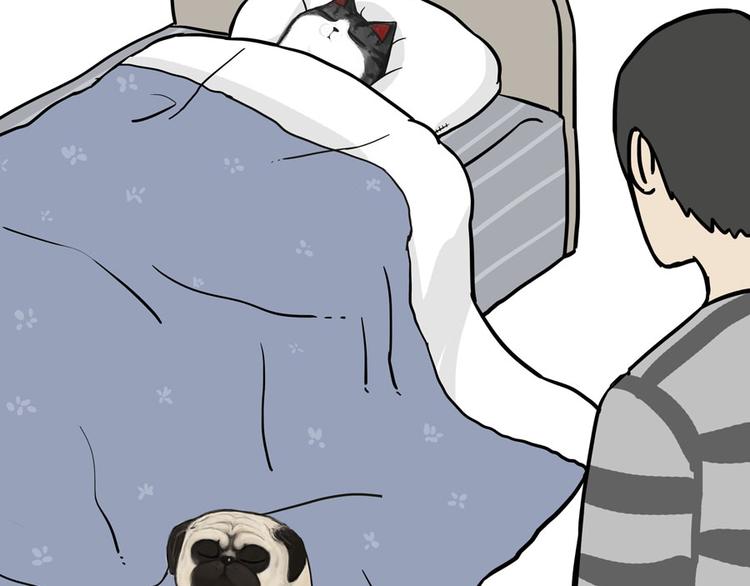 第44话 日常坑狗，却猫前屈膝17