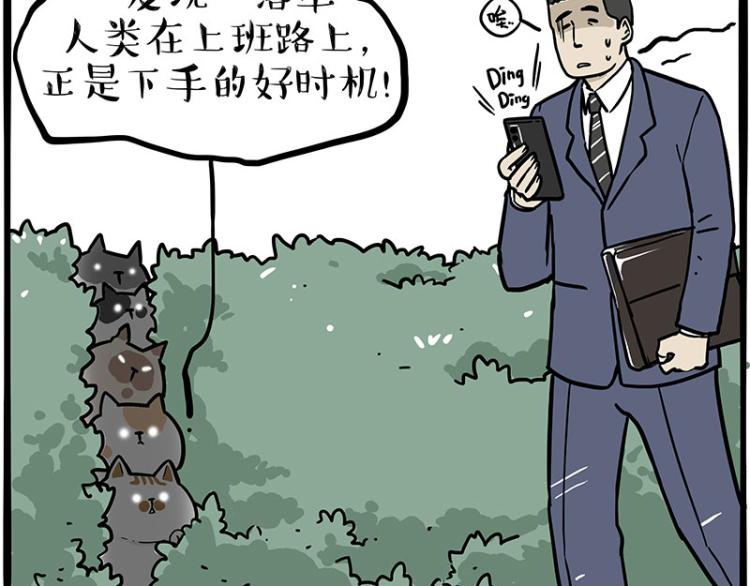 第290话 凶恶猫猫组织2