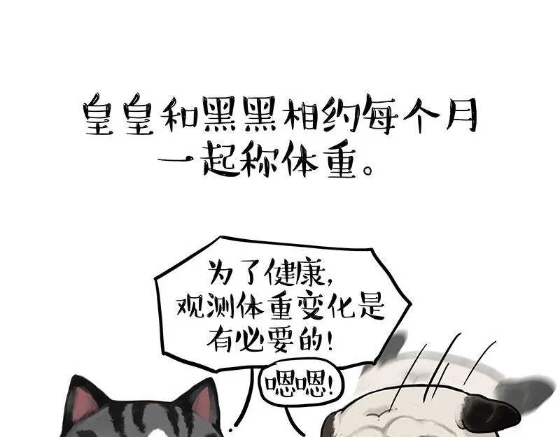 第383话 苦夏34