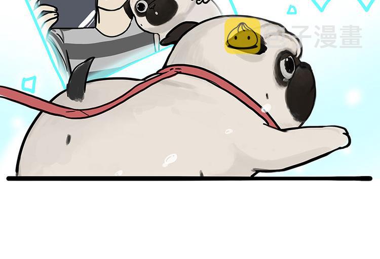 第262话 忠犬巴扎黑？！52