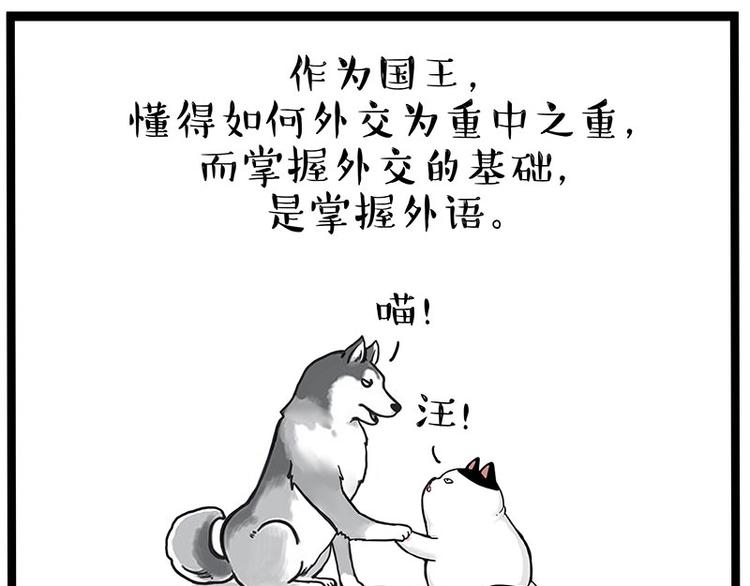 第277话 猫斗猫17