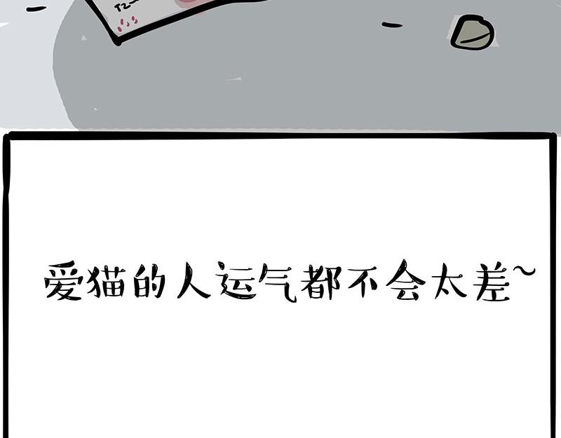 第333话 养啥好？24