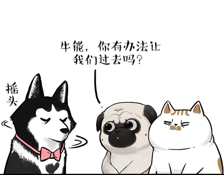 第294话 教狗游泳难度爆棚41