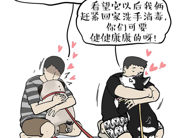 第223话 狗知识增加了38