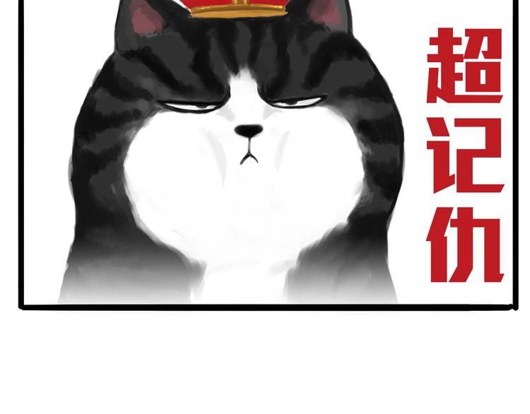第74话 猫主子送的也敢扔5