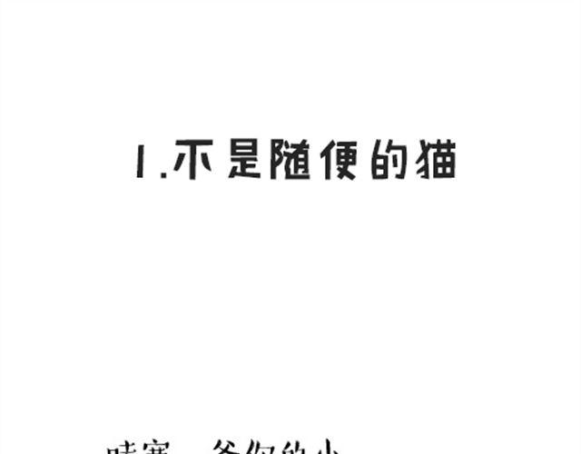 第16话 我家猫怎么能牺牲色相0