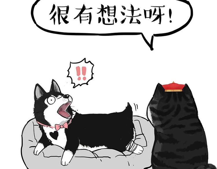 第160话 最差的一届哈士奇！25