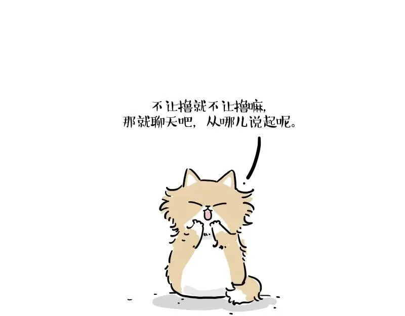 第424话 话痨小猫14