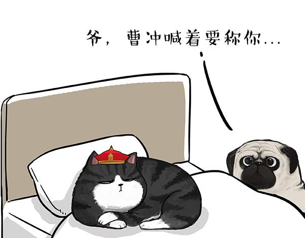 第73话 你才是肥仔嘞13