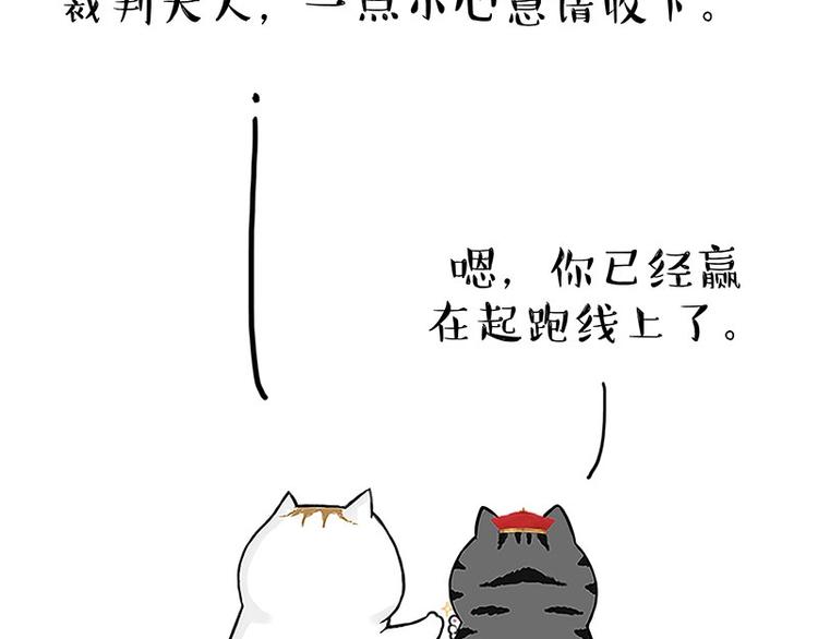 第167话 猫王争霸赛12