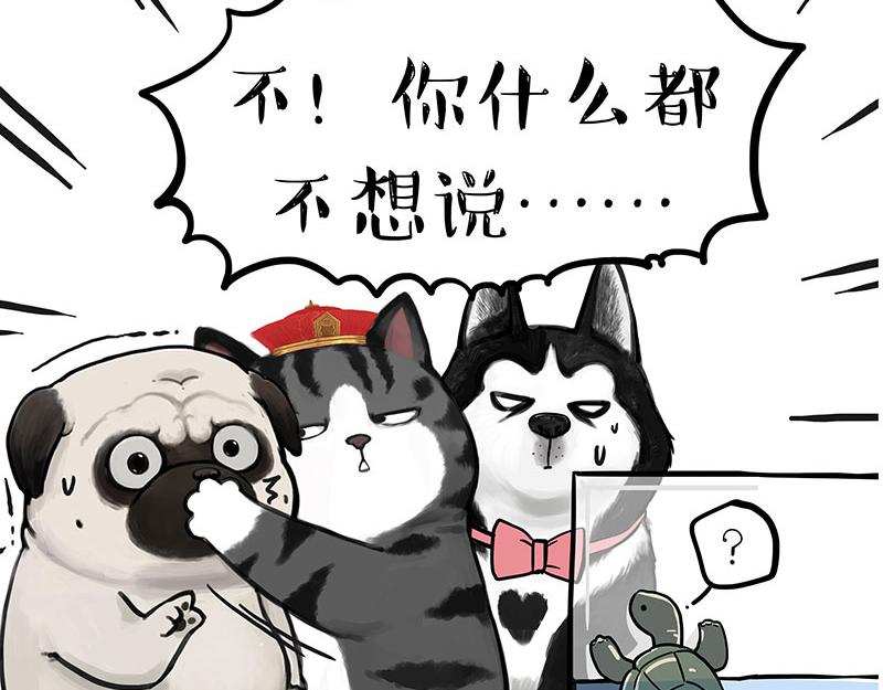 第299话 真假虚实56