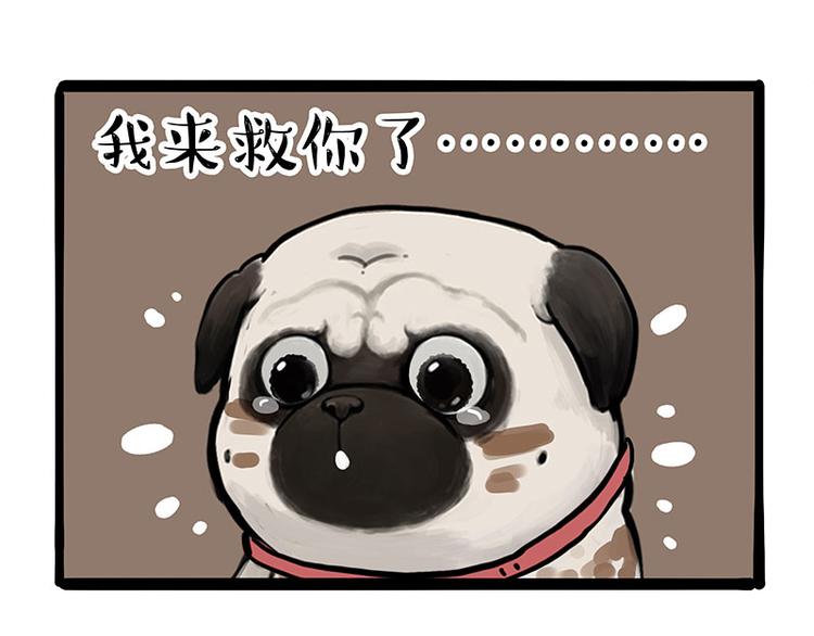 第262话 忠犬巴扎黑？！64