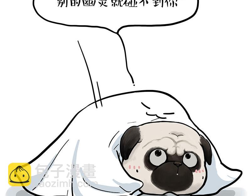第343话 喵生哲学24