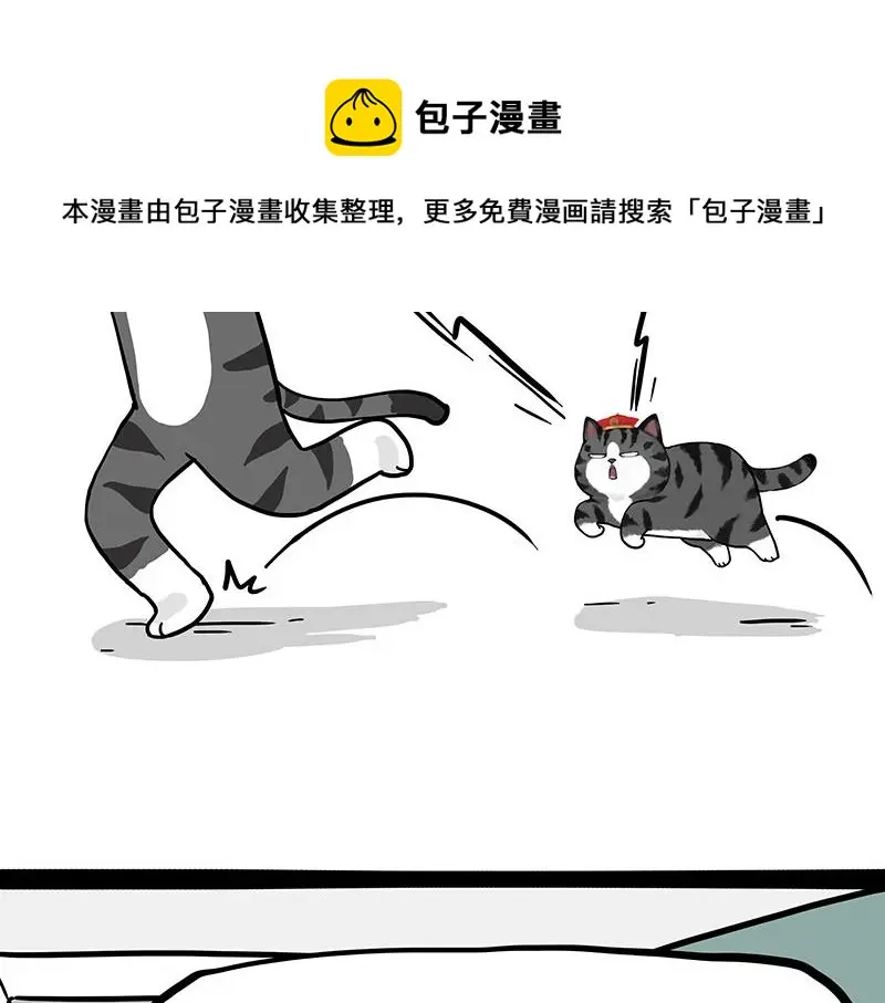 第325话 你不守猫德20