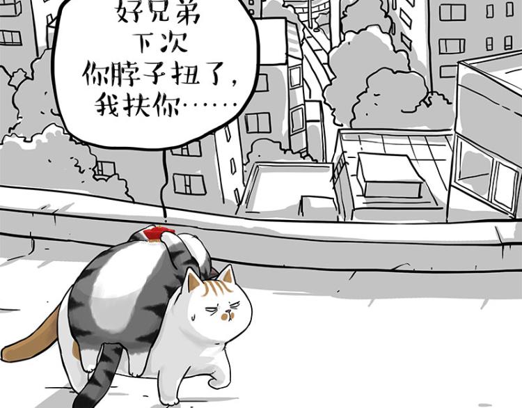 第291话 好兄弟，一辈子101
