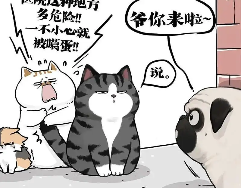 第404话 寻家计划1：啸天93
