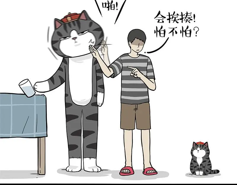 第325话 你不守猫德43