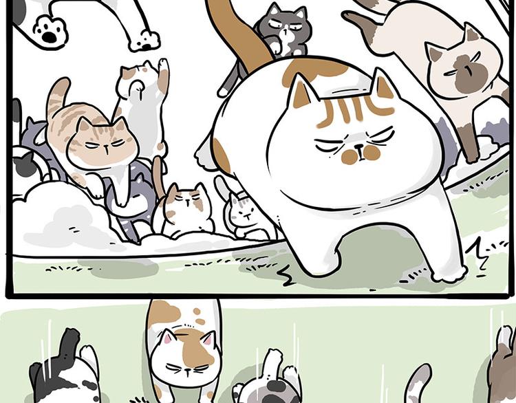 第271话 进击的流浪猫！18