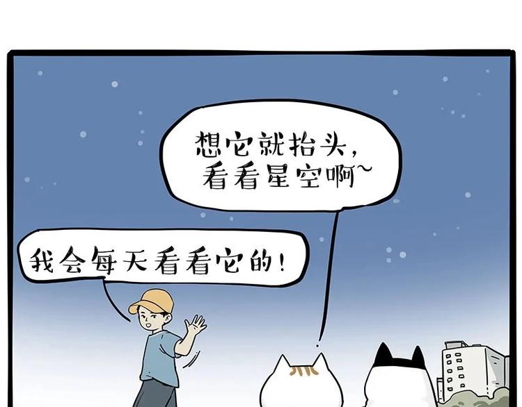 第216话 傲霸求领养了！48