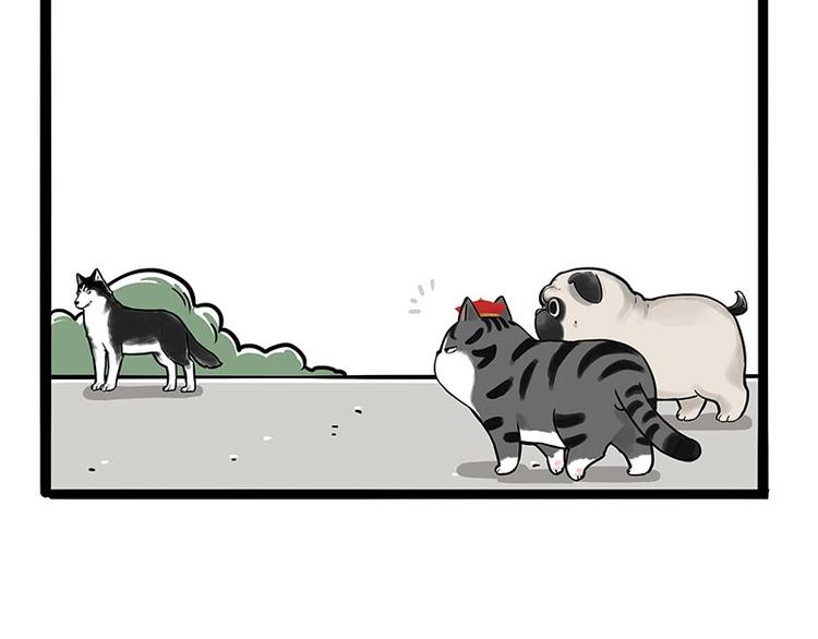 第187话 巴扎黑终究是错付了48