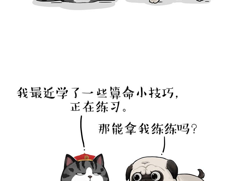 第307话 面相大解析25