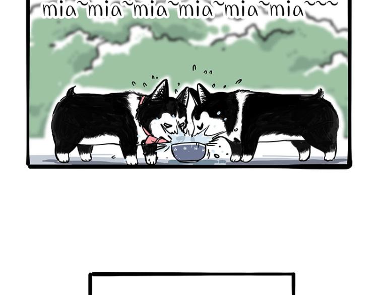 第287话 真假牛能？！21